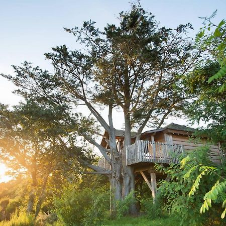 La Gree Des Landes - Eco-Hotel-Spa Yves Rocher La Gacilly Εξωτερικό φωτογραφία